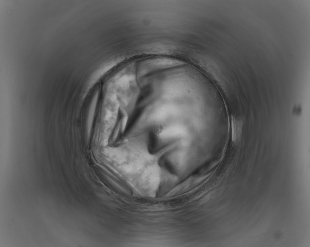 X0000090890675200708242002