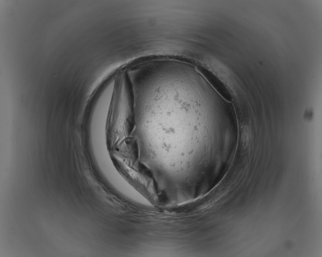 X0000090890676200708242002