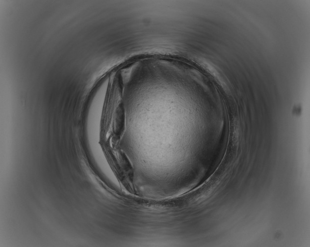 X0000090890677200708242002