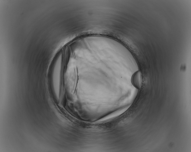 X0000090890678200708242002