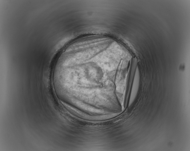 X0000090890679200708242002