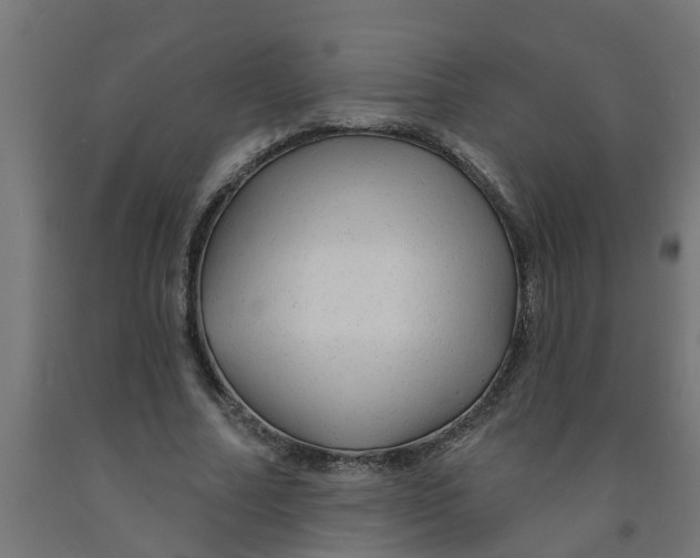 X0000090890682200708242002