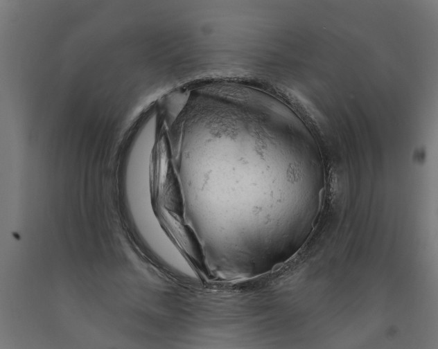 X0000090890684200708242002