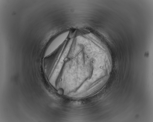 X0000090890687200708242002