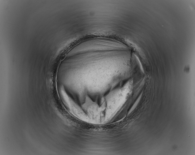 X0000090890688200708242002