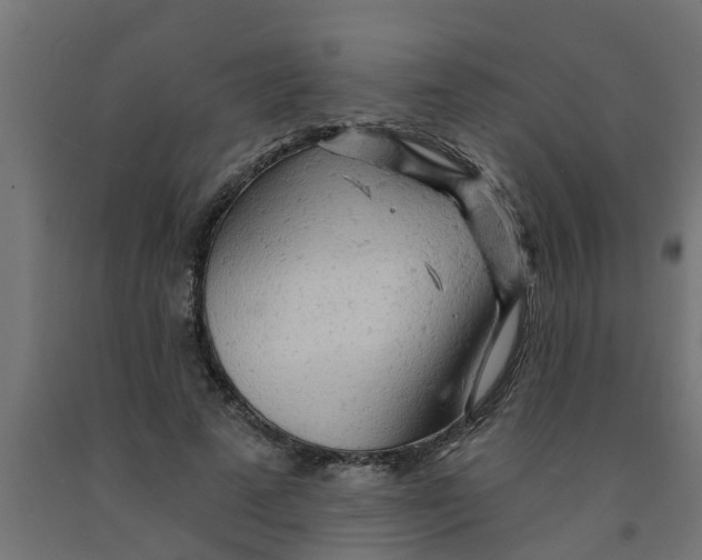 X0000090890689200708242002