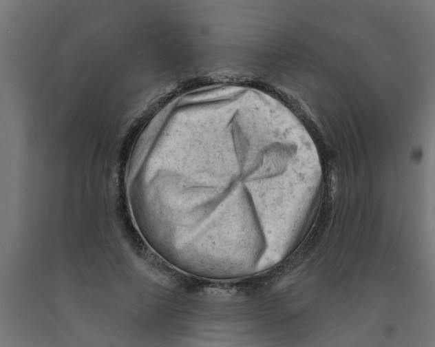 X0000090890690200708242002