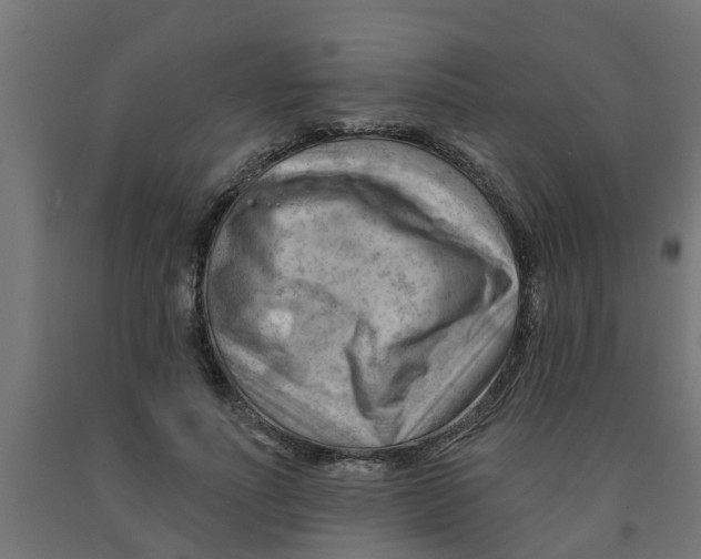 X0000090890691200708242002