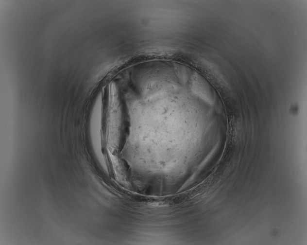 X0000090890692200708242002