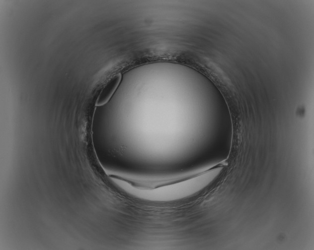 X0000090890693200708242002