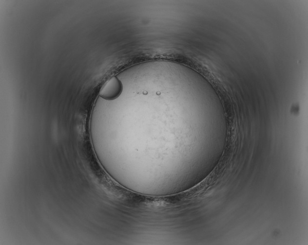 X0000090890695200708242002