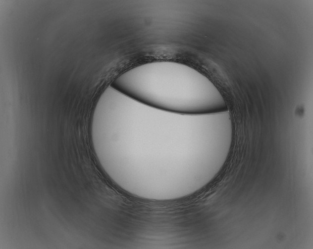 X0000090890697200708242002