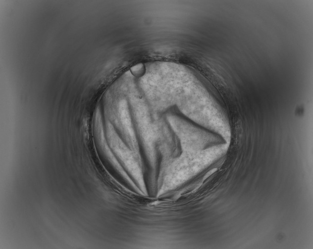 X0000090890699200708242002