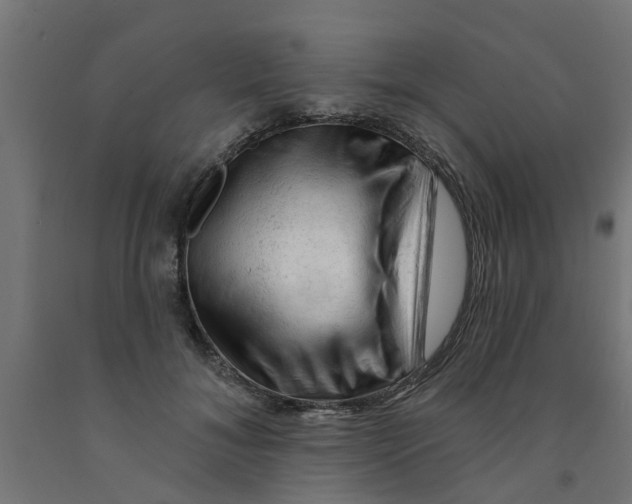 X0000090890700200708242002