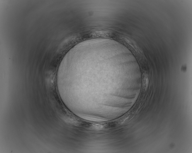 X0000090890701200708242002