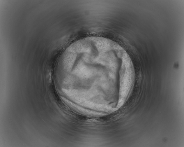 X0000090890703200708242002