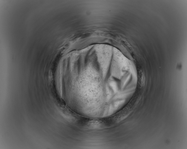 X0000090890704200708242002