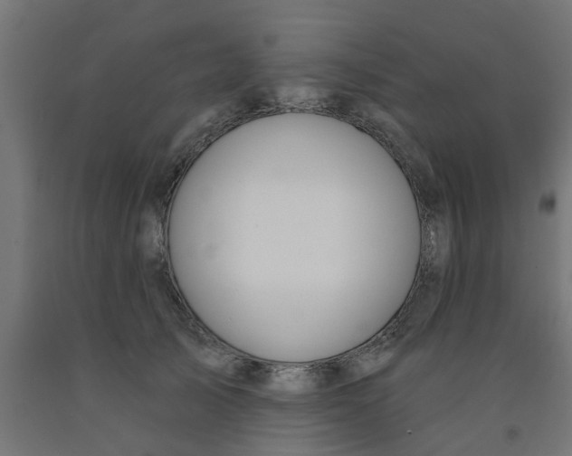 X0000090890705200708242002