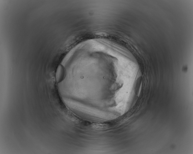 X0000090890707200708242002