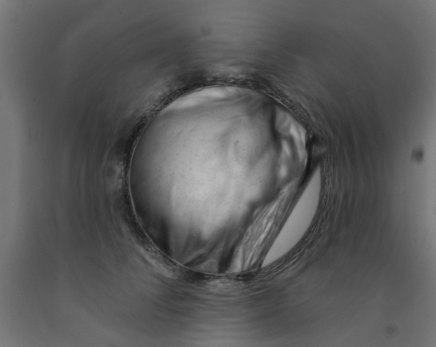 X0000090890708200708242002