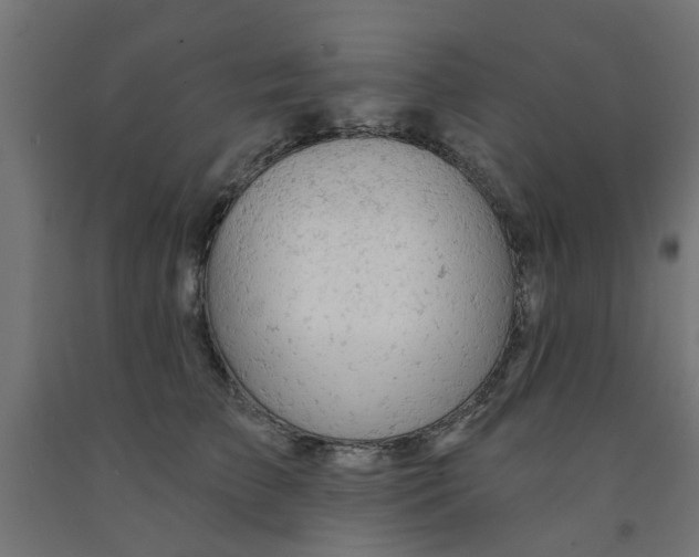 X0000090890709200708242002