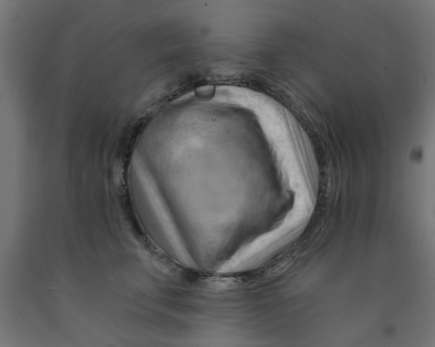 X0000090890711200708242002