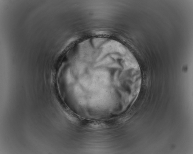 X0000090890712200708242002