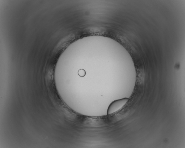 X0000090890713200708242002