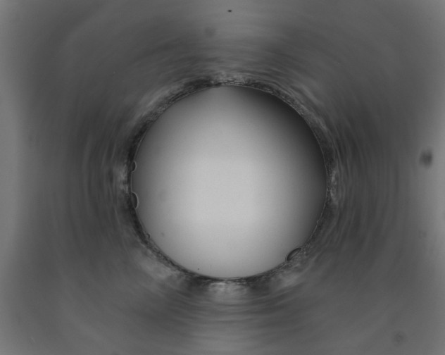 X0000090890714200708242002