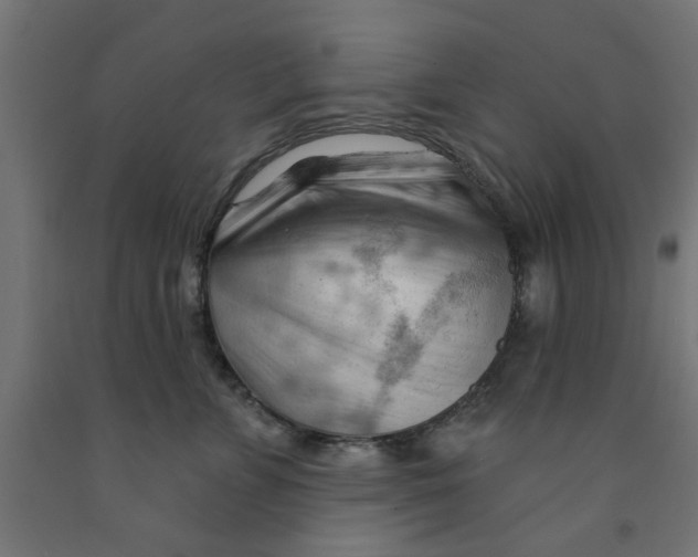 X0000090890715200708242002