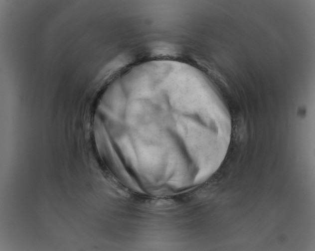 X0000090890716200708242002