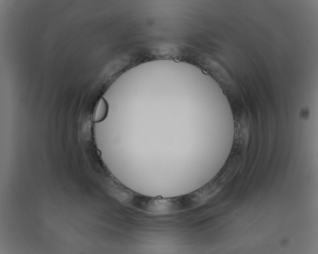 X0000090890717200708242002