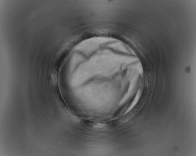 X0000090890718200708242002