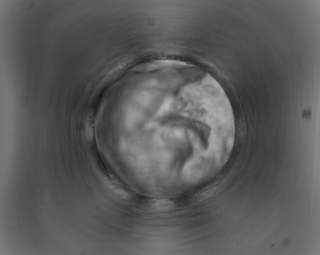 X0000090890719200708242002