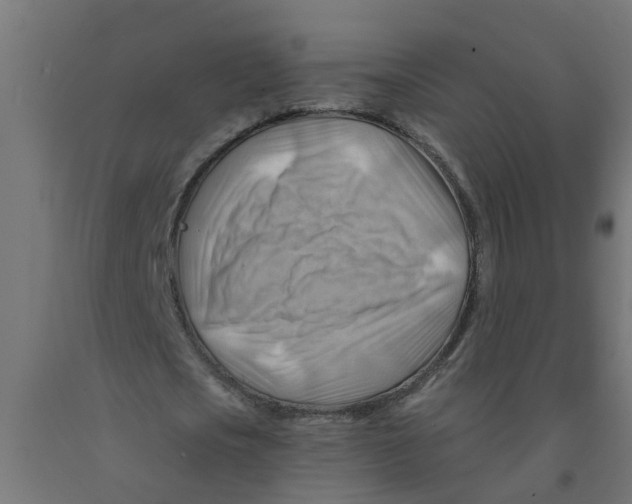 X0000090890721200708242001