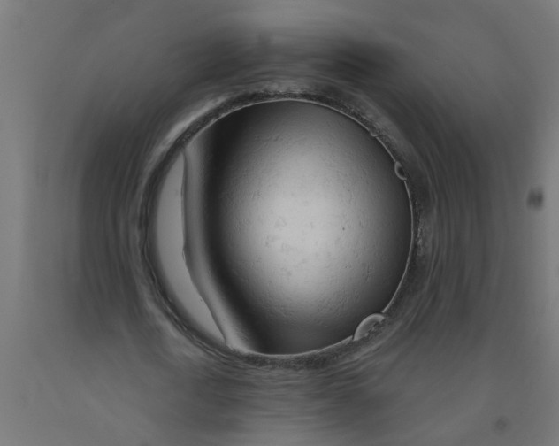 X0000090890722200708242001