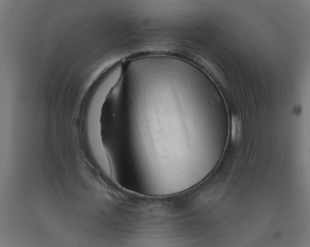 X0000090890723200708242001