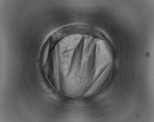 X0000090890724200708242001