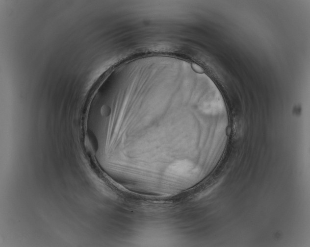 X0000090890725200708242001