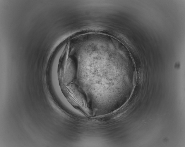 X0000090890726200708242001