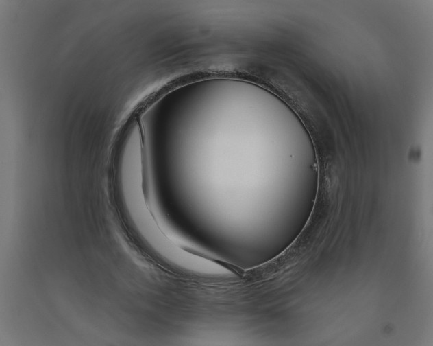 X0000090890728200708242001