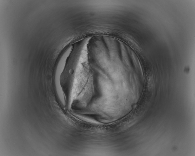 X0000090890729200708242001