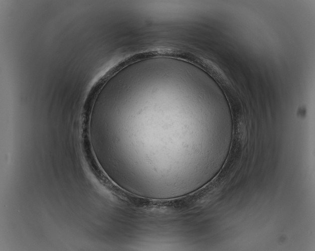 X0000090890730200708242001