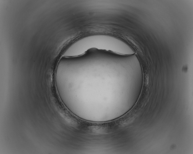 X0000090890733200708242001