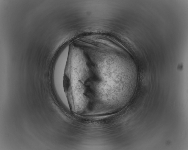 X0000090890735200708242001