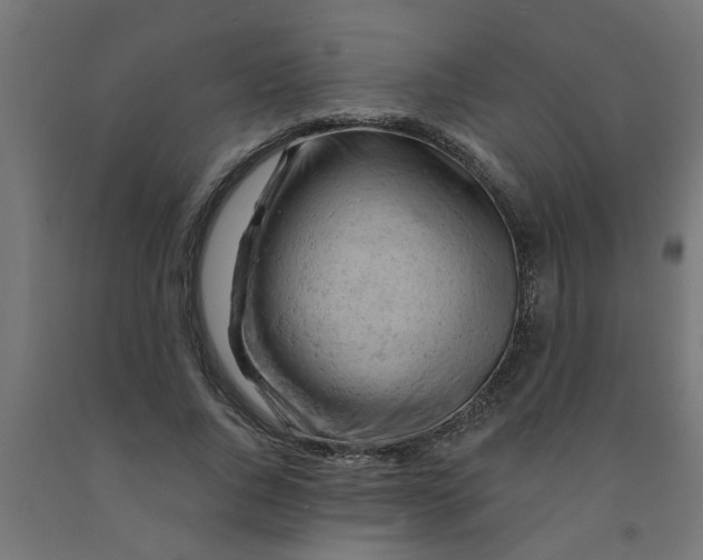 X0000090890736200708242001