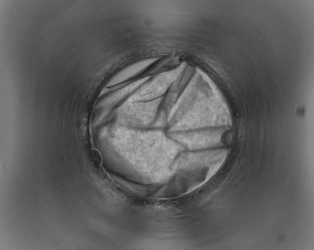 X0000090890737200708242001