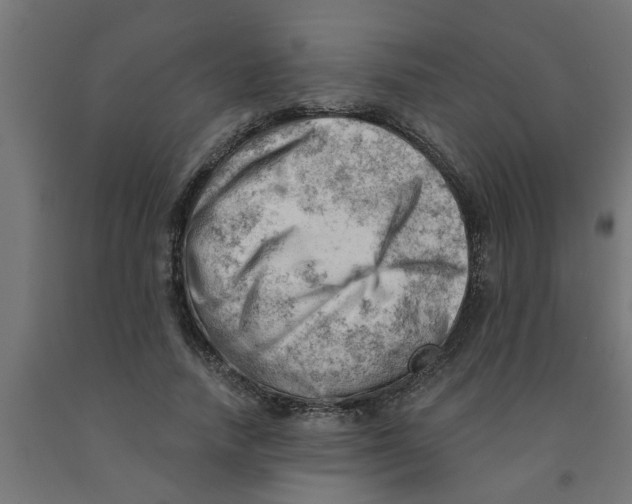 X0000090890738200708242001