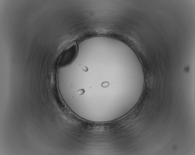 X0000090890740200708242001