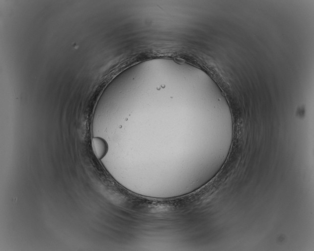 X0000090890741200708242001